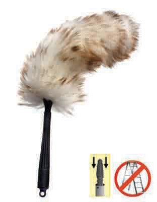 Dammvippa - Swedish-Red