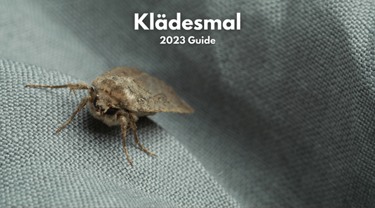 Klädesmal? NEJ TACK! (Bli-av-med-guide 2023) - Rödceder.se | Effektiv Skadedjursbekämpning