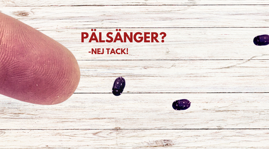 Förebygg pälsängrar med naturligt skydd från rödceder.se | Effektiv Skadedjursbekämpning – annons med finger, skadedjur och texten "PÄLSÄNGER? – NEJ TACK!" på träbakgrund.