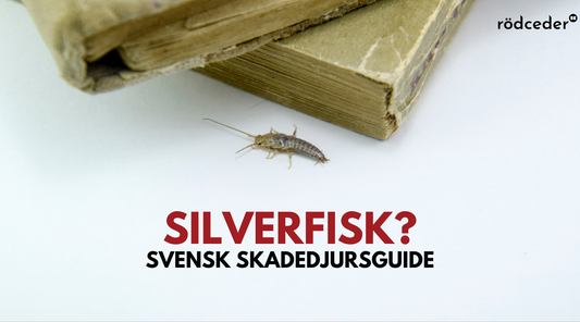 Silverfisk? NEJ TACK! - Rödceder.se | Effektiv Skadedjursbekämpning